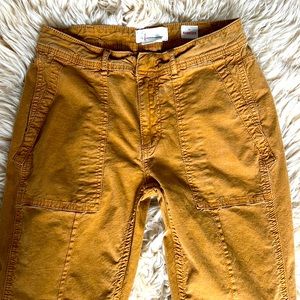 Anthropologie "the wanderer" chino